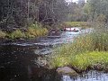 DSC00571