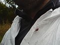 DSC00634