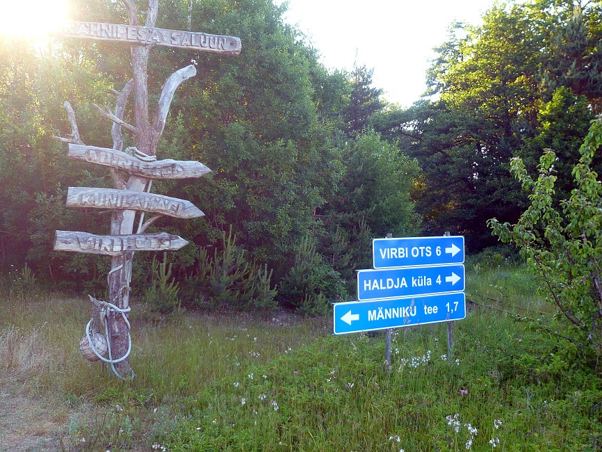 P1040238.jpg