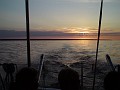 DSC01097