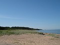 IMG_2226