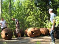 IMG_2240