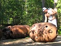 IMG_2242