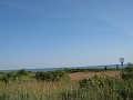 IMG_2249