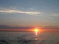 IMG_2277