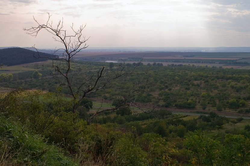 PICT2682.jpg