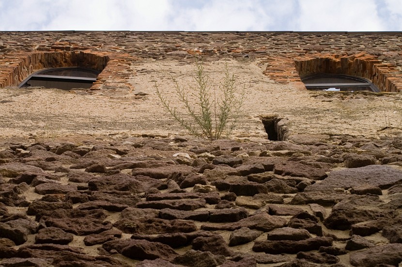 PICT2698.jpg