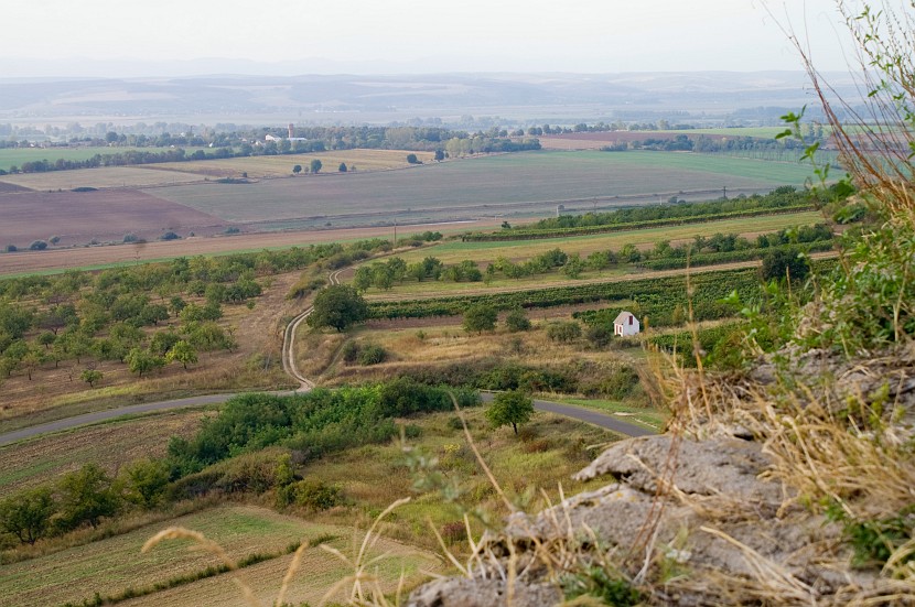 PICT2744.jpg
